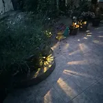 Leona's Paradise Опатия