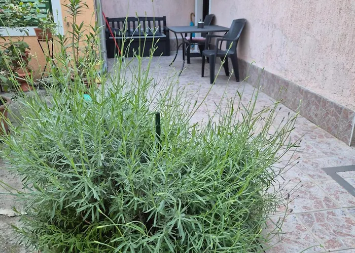 Leona's Paradise Apartment Opatija