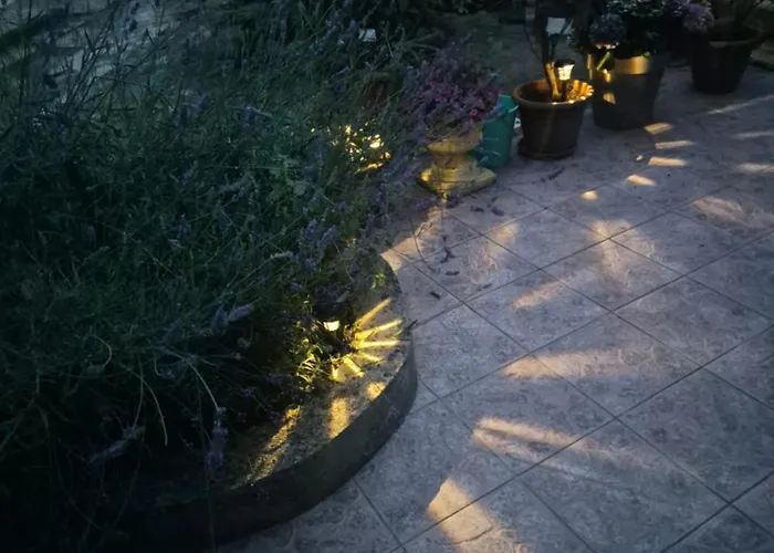 Leona's Paradise أوباتيا